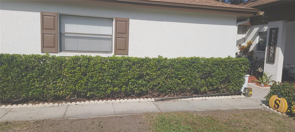 3438 Lori Lane New Port Richey, FL 34655 - Photo 3 of 30