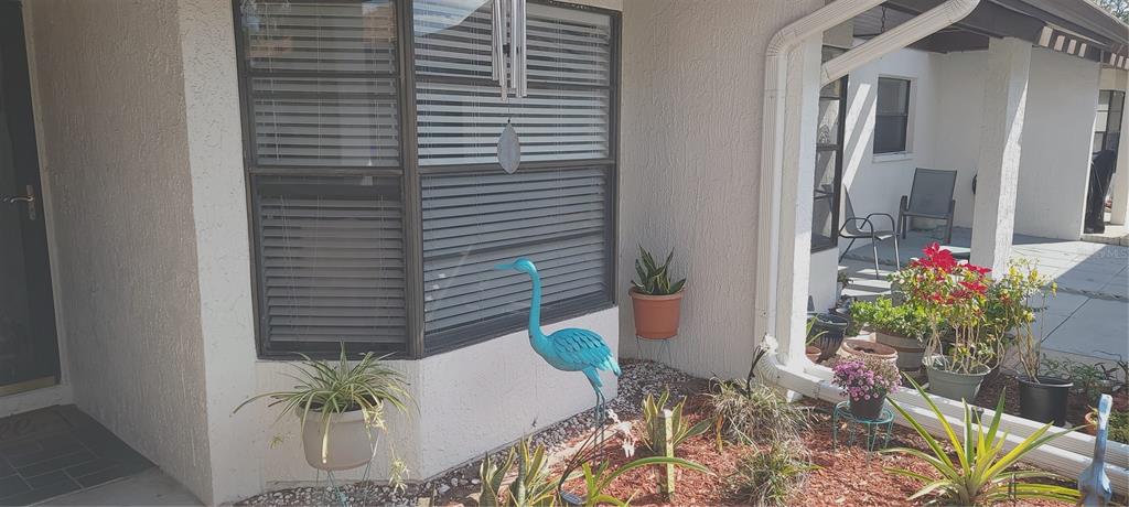 3438 Lori Lane New Port Richey, FL 34655 - Photo 5 of 30