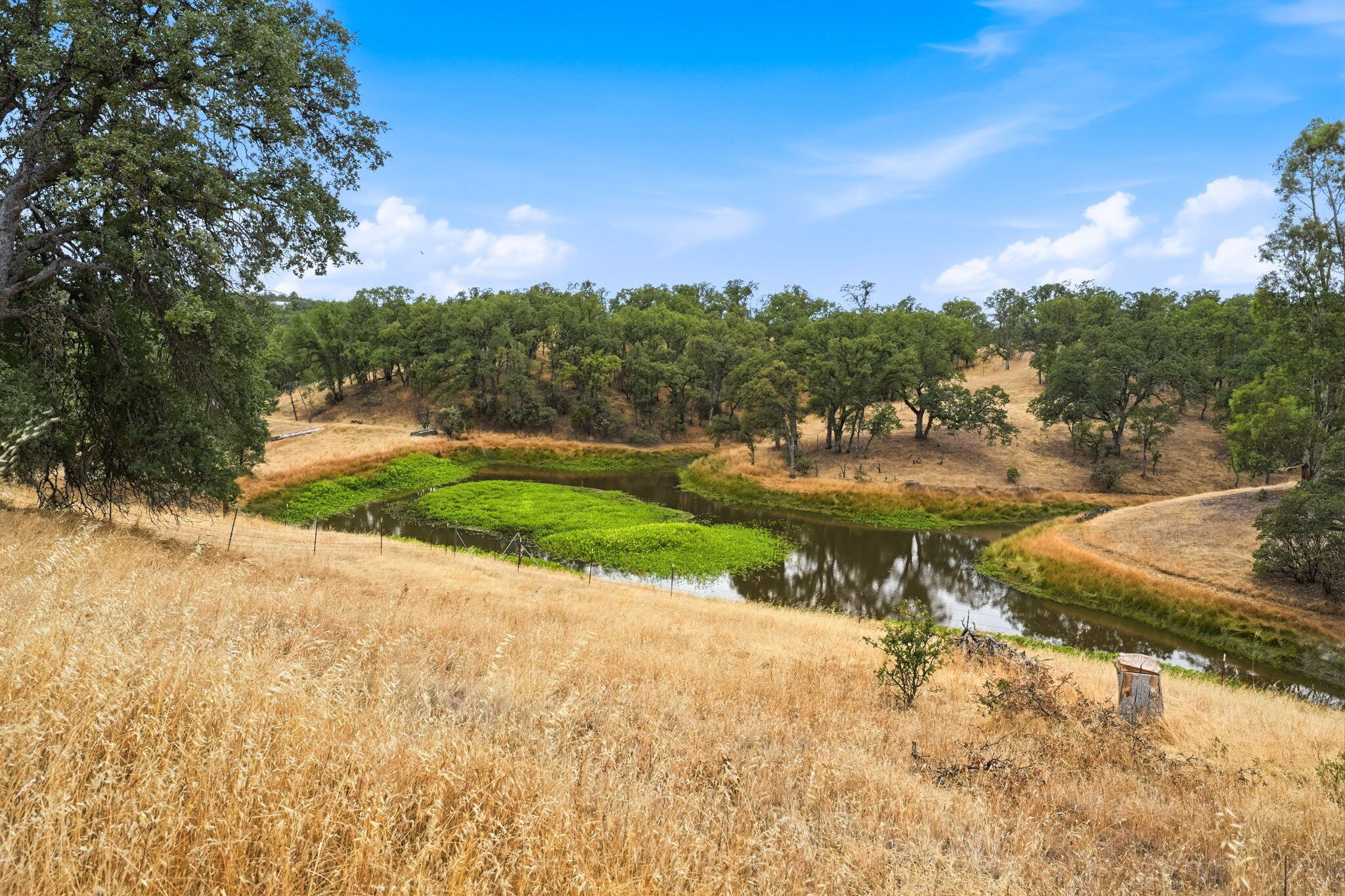 18221 Quail Ridge Road Cottonwood, CA 96022 - Photo 47 of 48 Own small portion