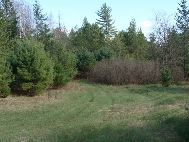 9 Camp 9 Road Minocqua, WI 54548 - Photo 15 of 17 Gallery Image 15