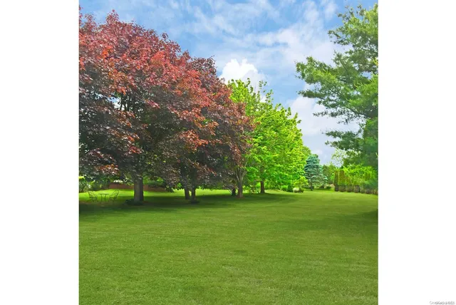 a view of a grassy field