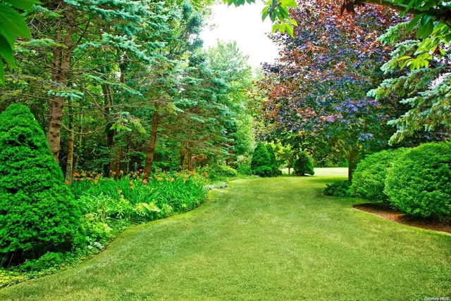 a view of yard with green space