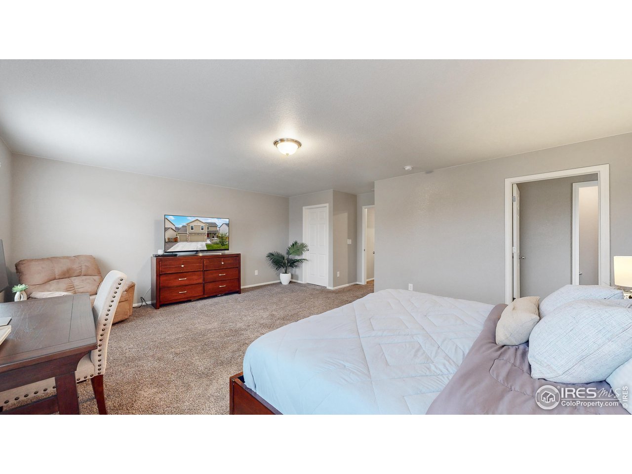 933 Keneally Court Windsor, CO 80550 - Photo 11 of 40 a living room with furniture and a couch