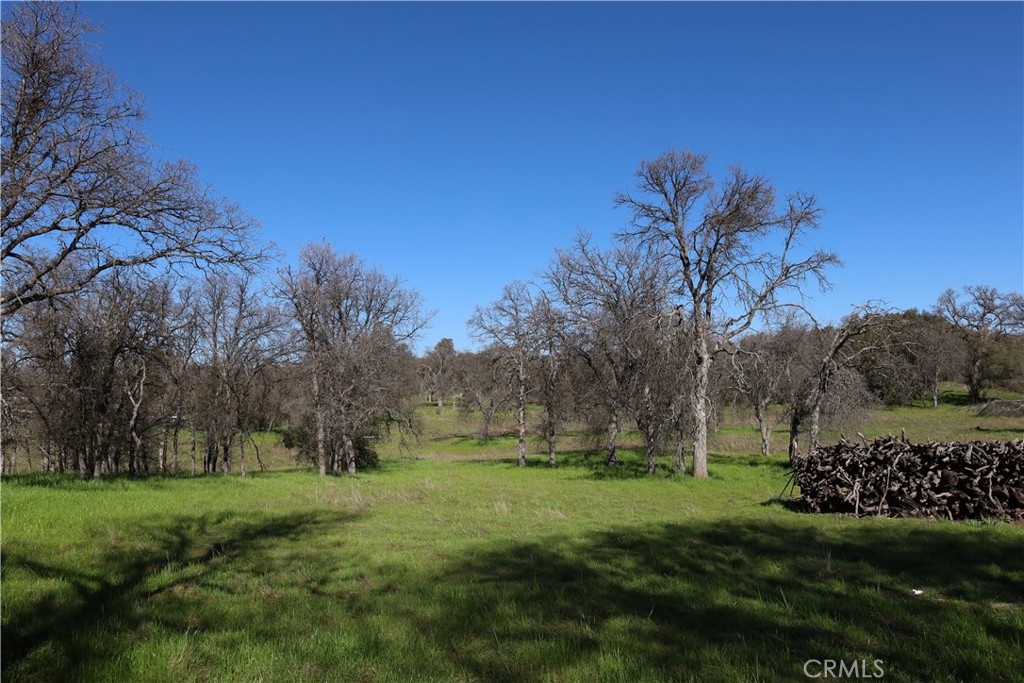 0 Douglas Road Coarsegold, CA 93614 - Photo 17 of 32