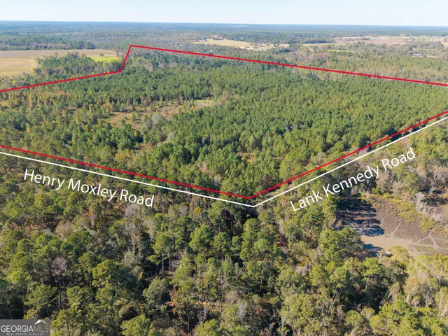 a view of a green field with a view of trees