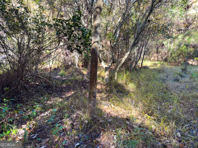 a view of outdoor space with trees