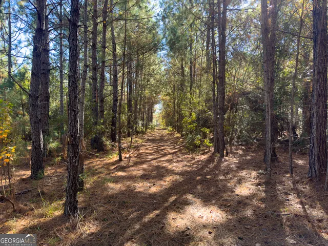 a view of a field with trees in the background