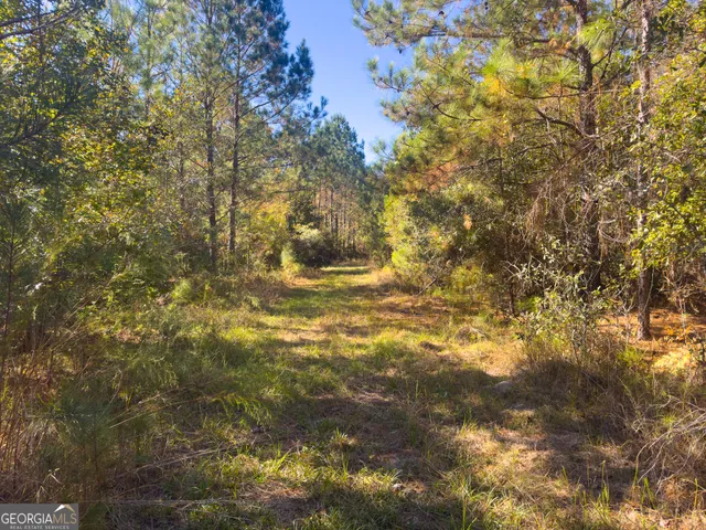 a view of a yard with an trees