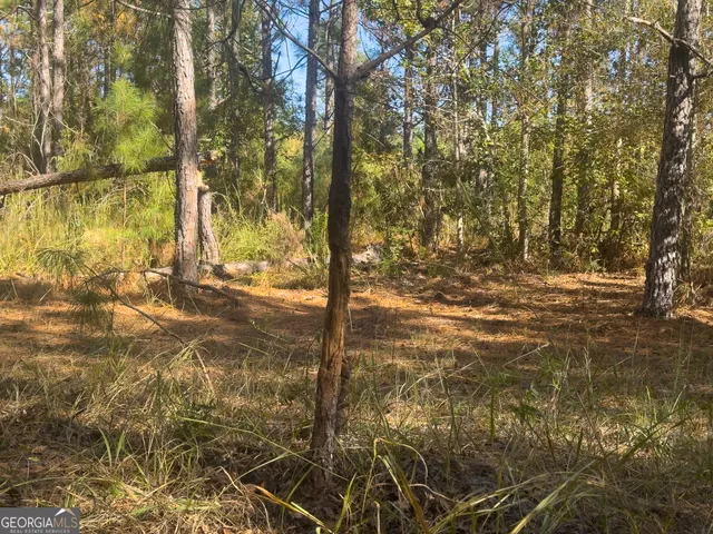 a view of outdoor space with trees