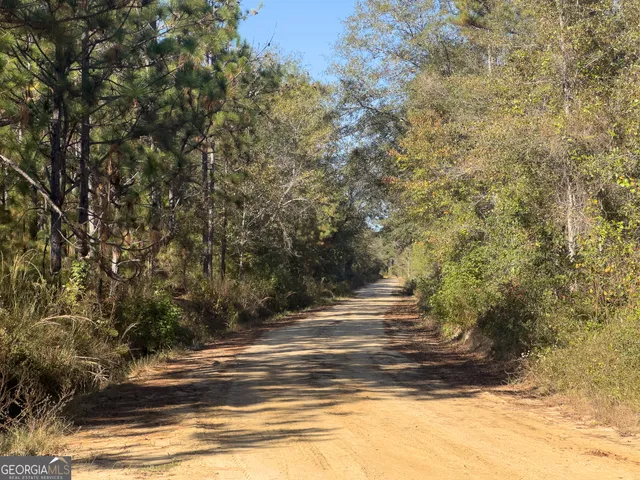 $484,000 | 1 Henry Moxley Road, Cobbtown, GA 30420