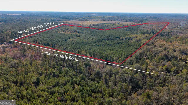 a view of empty space and a yard