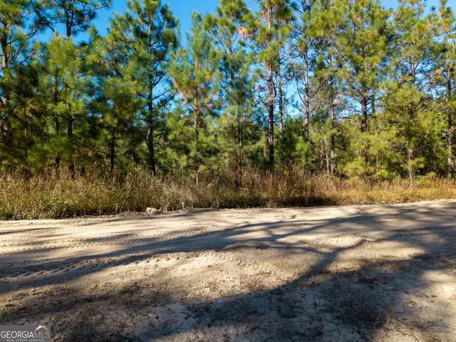a view of a forest with a forest