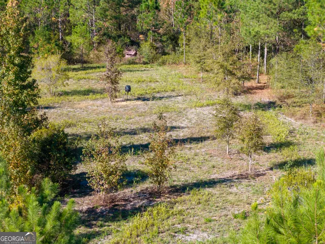 a table and chairs in a garden