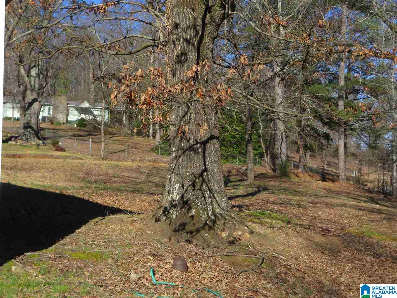 69 Harrison Road Anniston, AL 36201 - Photo 23 of 34