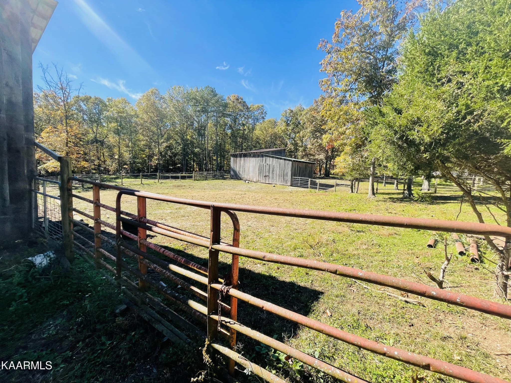 1225 Heinss Road Jamestown, TN 38556 - Photo 13 of 32 Gallery Image 13