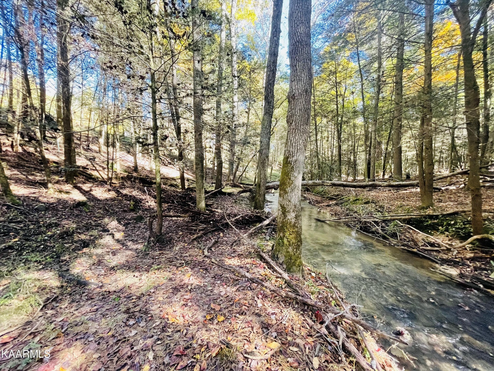 1225 Heinss Road Jamestown, TN 38556 - Photo 23 of 32 Gallery Image 23