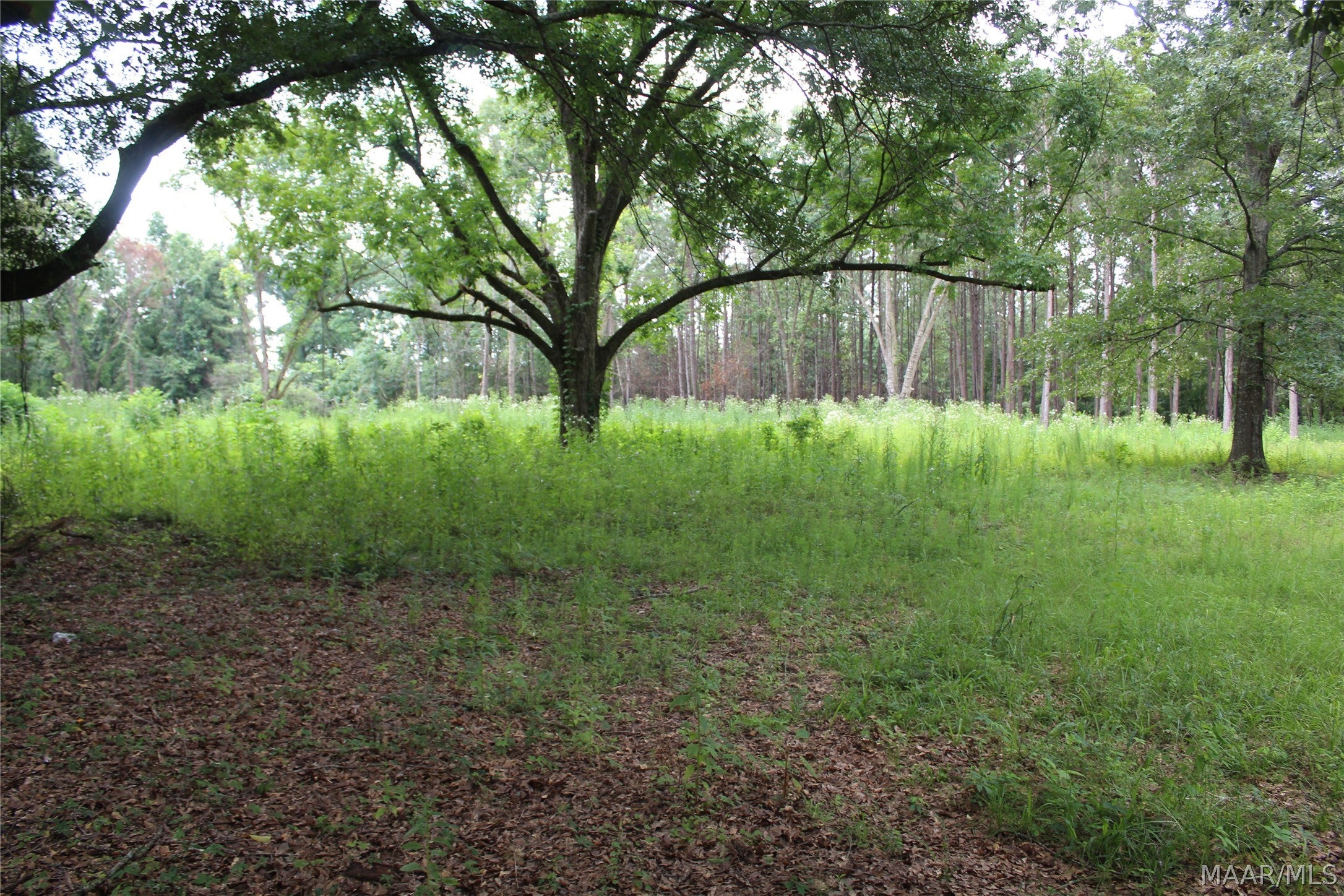 1563 Fort Deposit Road Fort Deposit, AL 36032 - Photo 1 of 6 Gallery Image 1