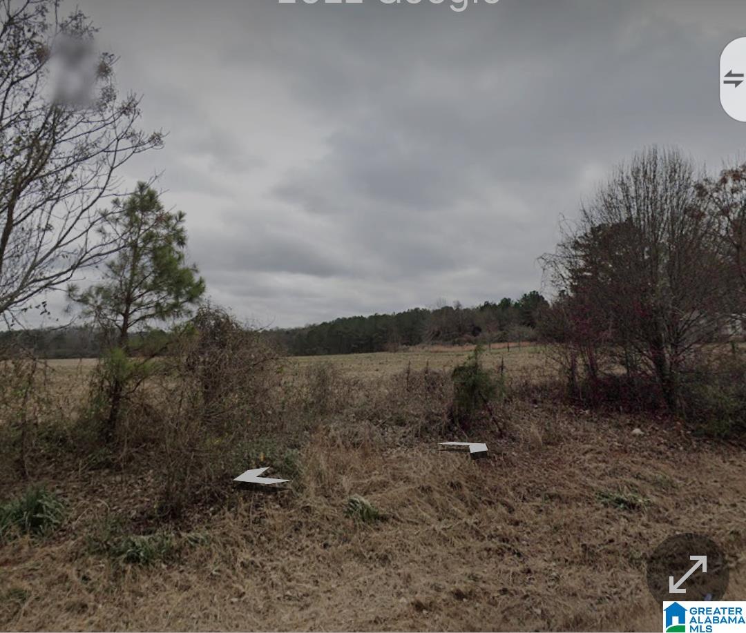 0 Brooks Lake Road, Unit METES & BOUNDS Lincoln, AL 35096 - Photo 1 of 1