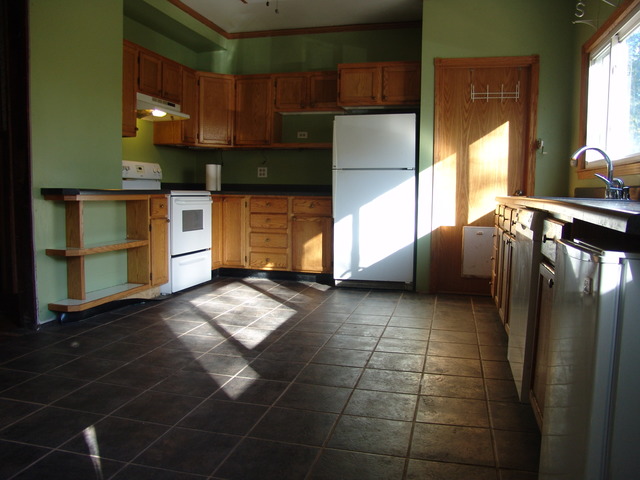 325 West Burville Road Crete, IL 60417 - Photo 3 of 24