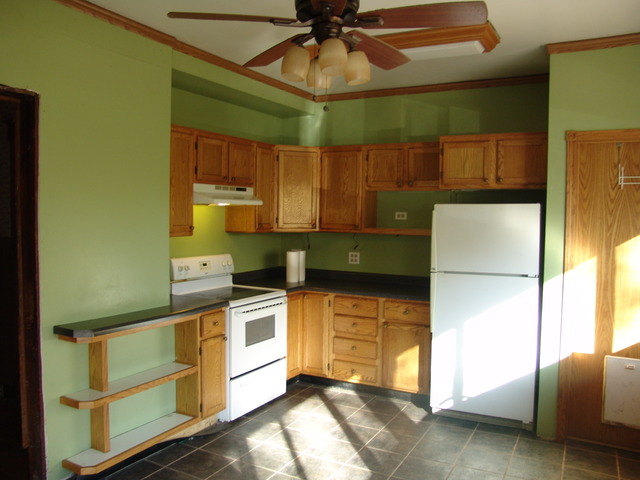 325 West Burville Road Crete, IL 60417 - Photo 4 of 24