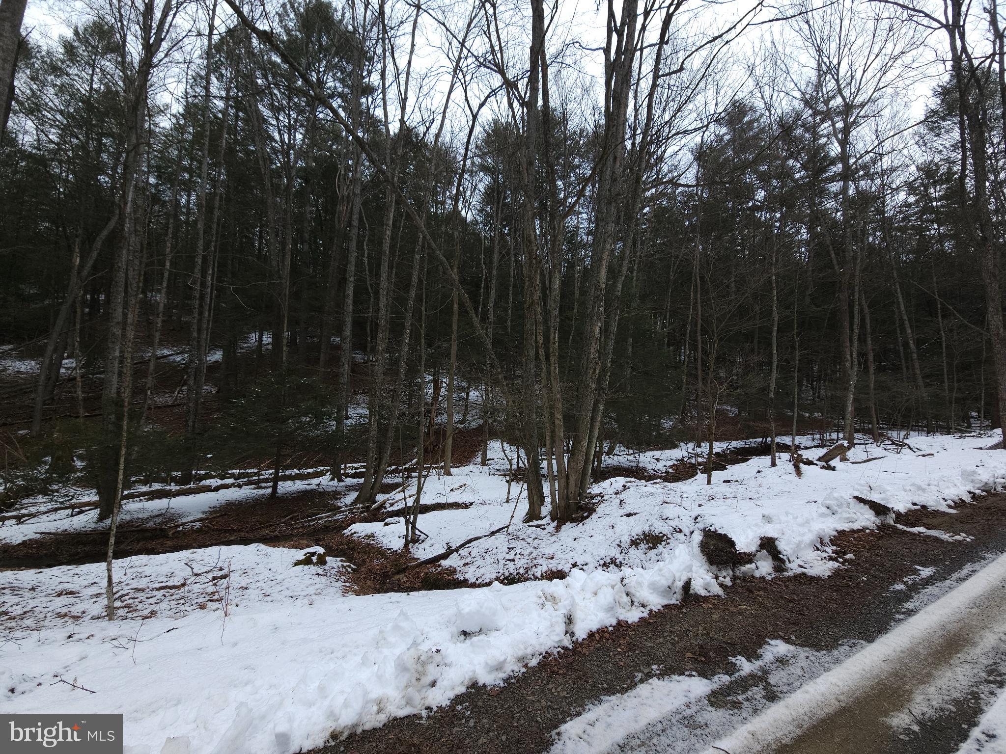 0 Spriggle Road Elliottsburg, PA 17024 - Photo 12 of 18 a view of a snow yard and covered with snow