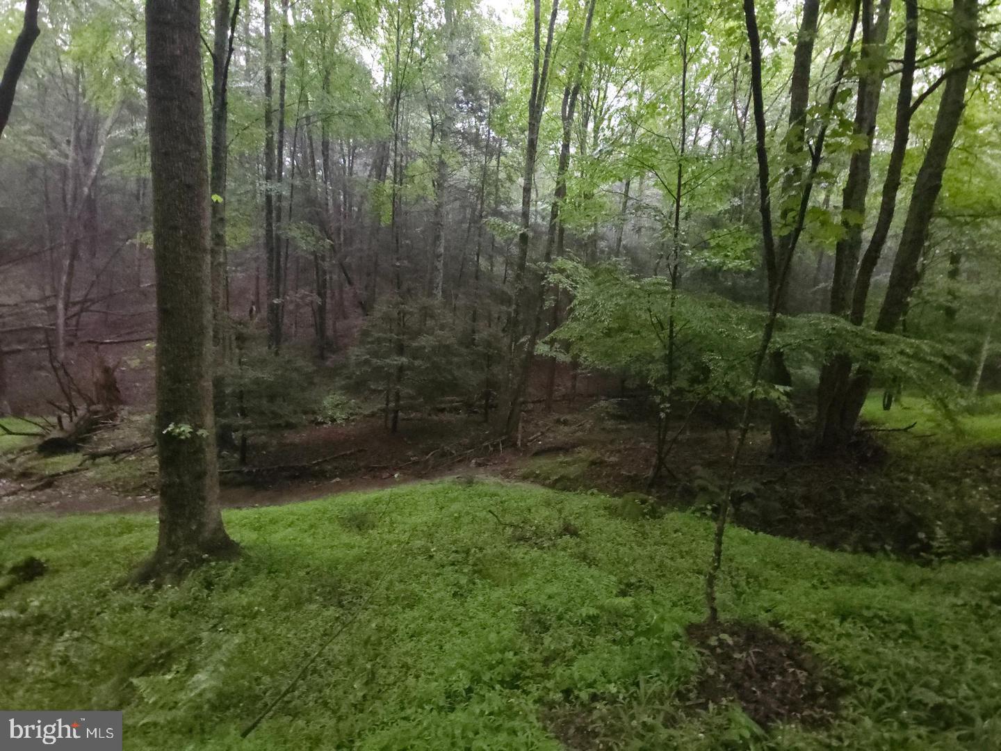 0 Spriggle Road Elliottsburg, PA 17024 - Photo 14 of 18 a view of a back yard
