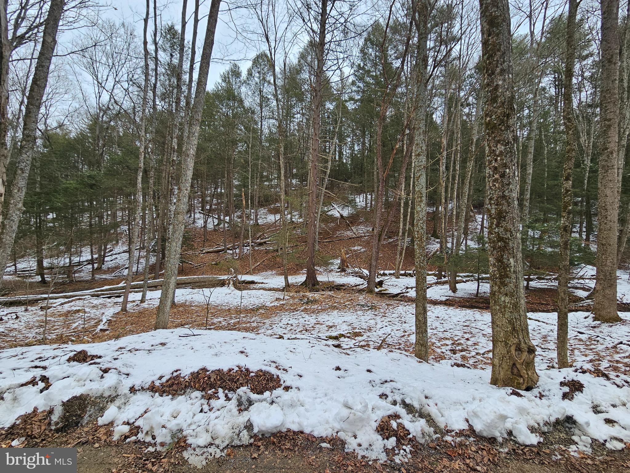 0 Spriggle Road Elliottsburg, PA 17024 - Photo 2 of 18 a view of a snow on the side of the road