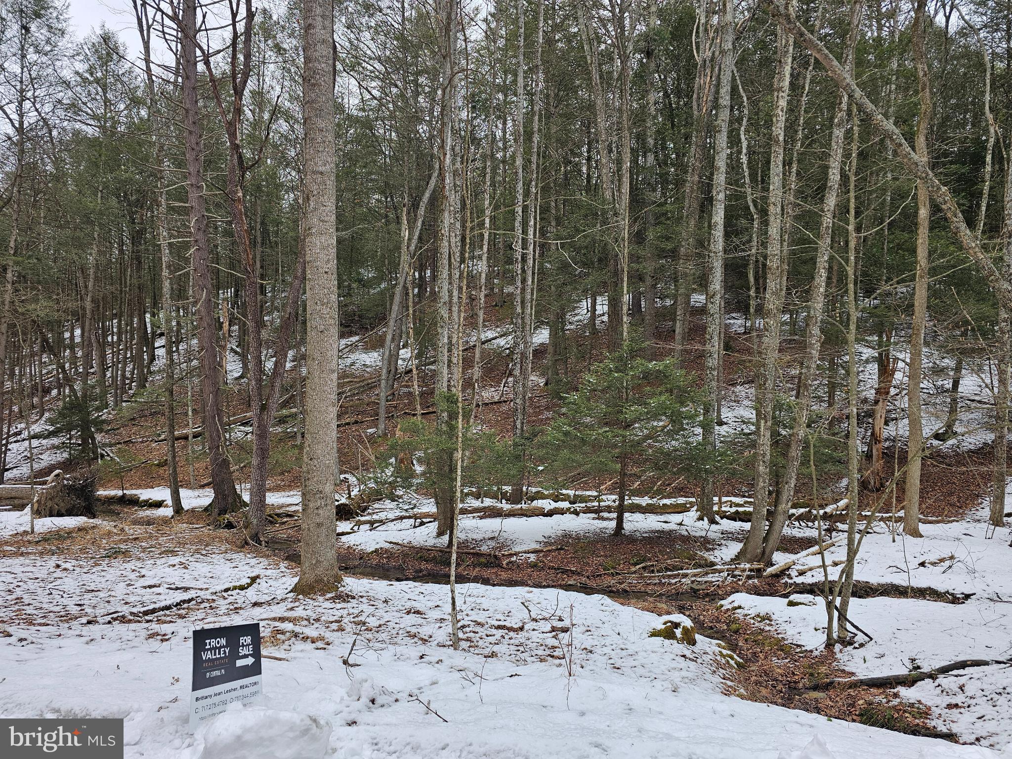 0 Spriggle Road Elliottsburg, PA 17024 - Photo 5 of 18 a view of a park with large trees