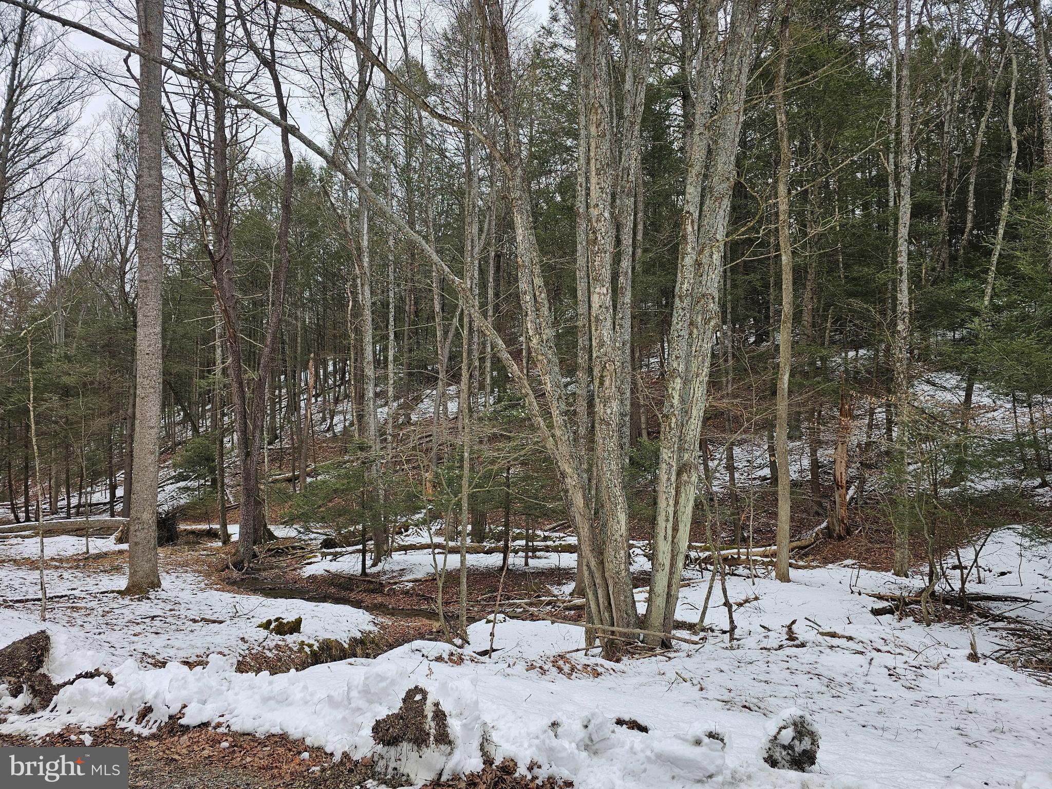 0 Spriggle Road Elliottsburg, PA 17024 - Photo 6 of 18 a view of a road with snow on the ground