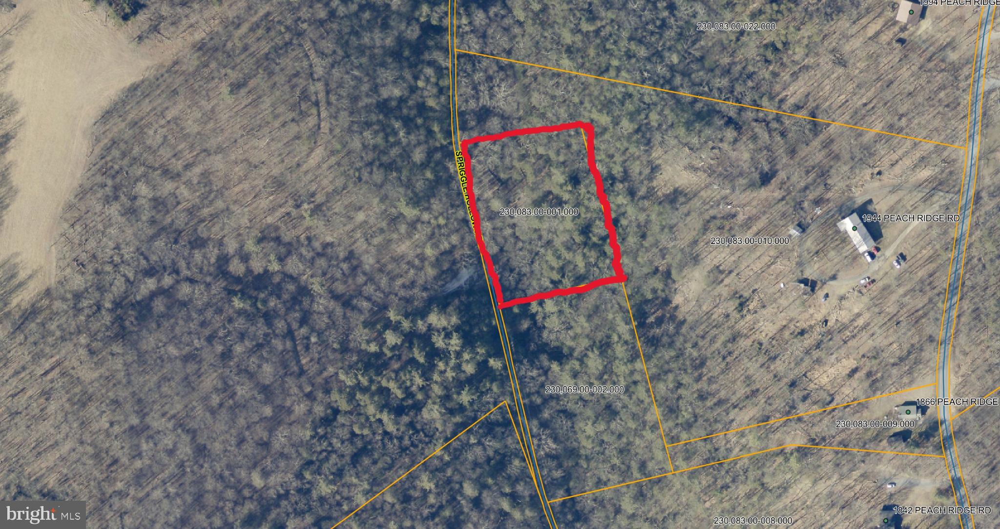 0 Spriggle Road Elliottsburg, PA 17024 - Photo 6 of 6 Secluded woodland retreat awaits exploration.