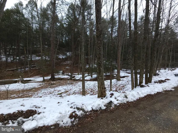 a view of a yard covered in snow