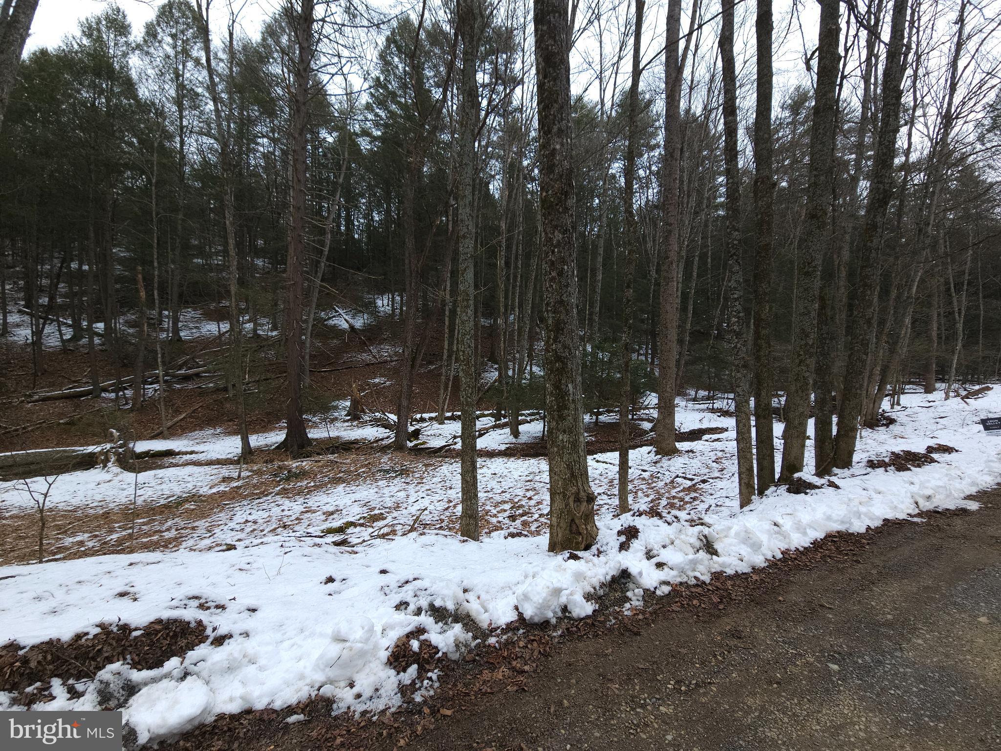 0 Spriggle Road Elliottsburg, PA 17024 - Photo 8 of 18 a view of a yard covered in snow