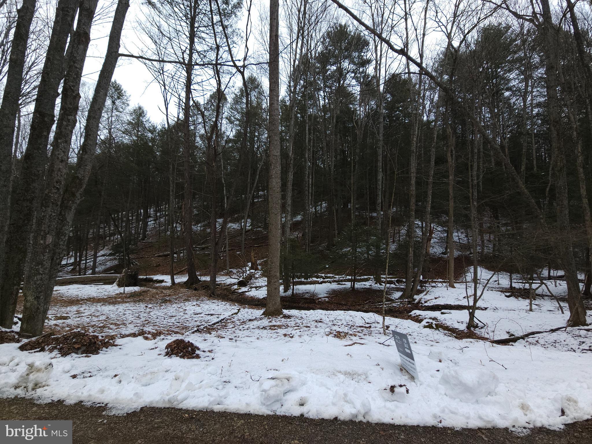 0 Spriggle Road Elliottsburg, PA 17024 - Photo 10 of 18 a view of a park with large trees