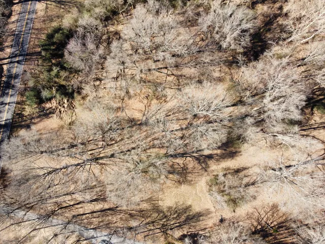 a view of outdoor space with green space