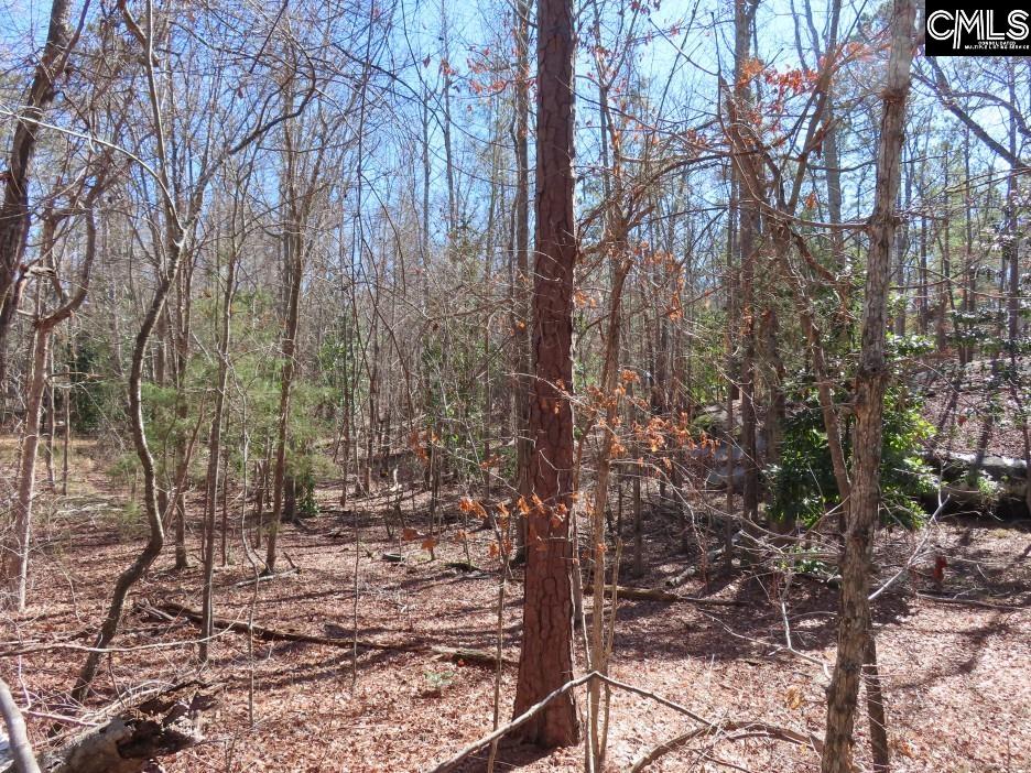 0 Rion Road Winnsboro, SC 29180 - Photo 11 of 42