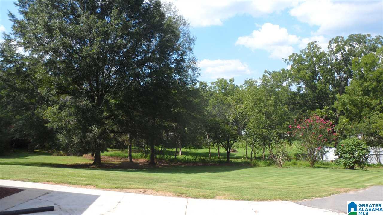 165 Ketchum Road Blountsville, AL 35031 - Photo 5 of 16