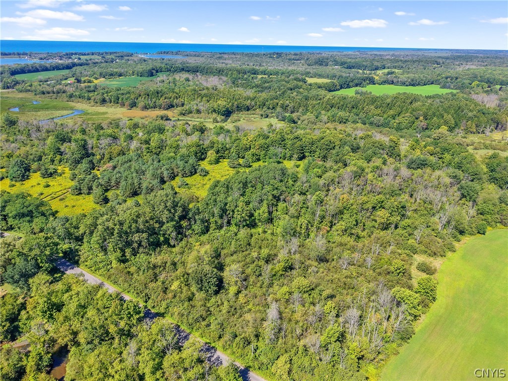 Henderson Road Sandy Creek, NY 13145 - Photo 6 of 17 Gallery Image 6