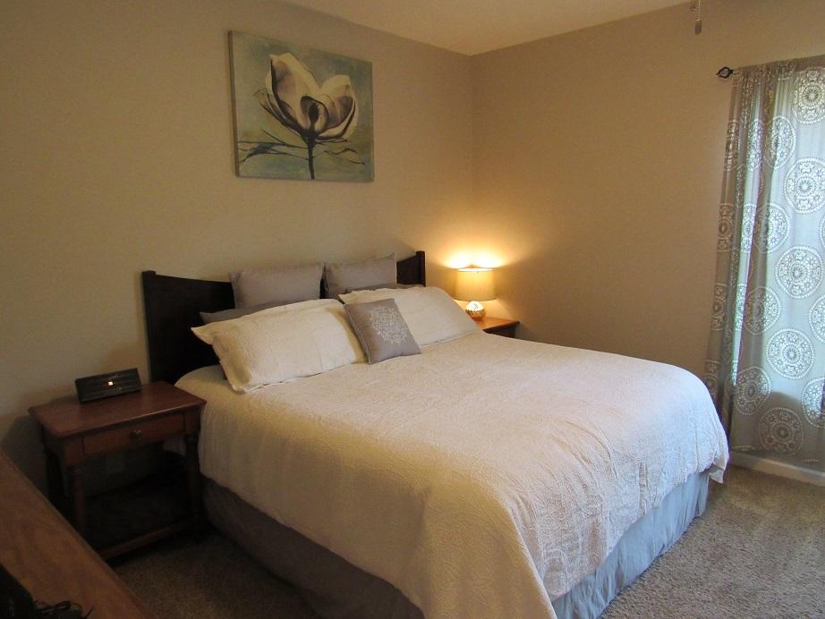 4555 Old Stage Road Radford, VA 24141 - Photo 18 of 37 4555 Old Stage Master Bedroom view 2