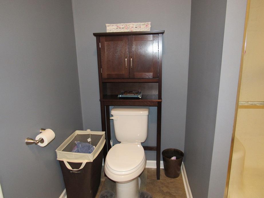 4555 Old Stage Road Radford, VA 24141 - Photo 21 of 37 4555 Old Stage Master bath view 3