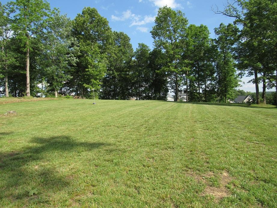 4555 Old Stage Road Radford, VA 24141 - Photo 30 of 37 4555 Old Stage Front yard