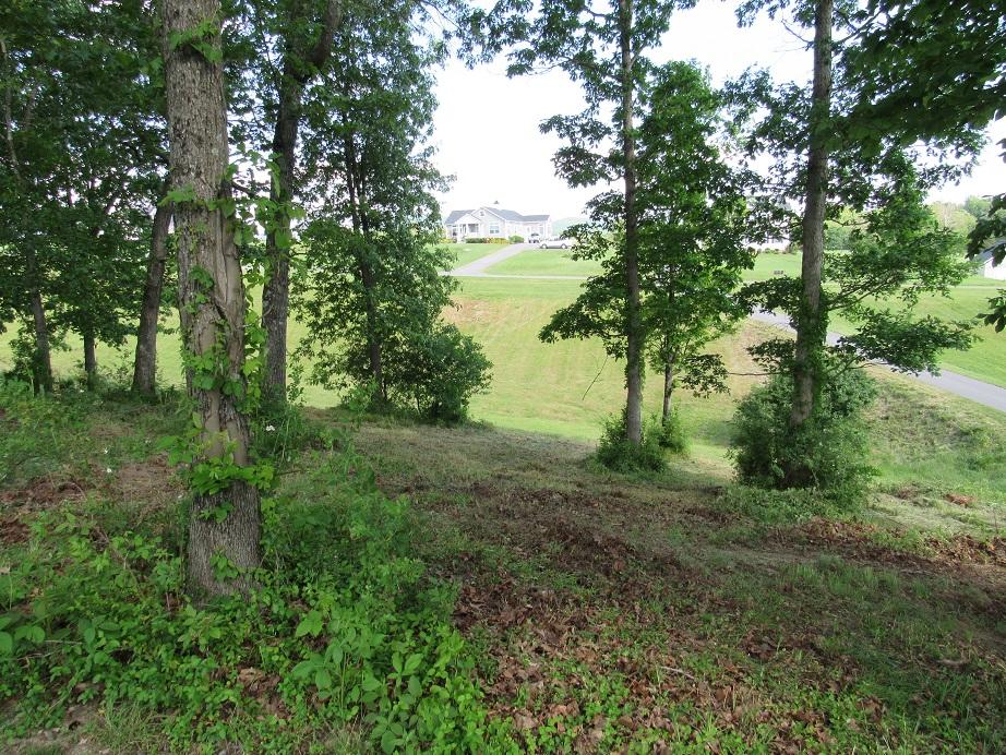 4555 Old Stage Road Radford, VA 24141 - Photo 33 of 37 4555 Old Stage road frontage view 2