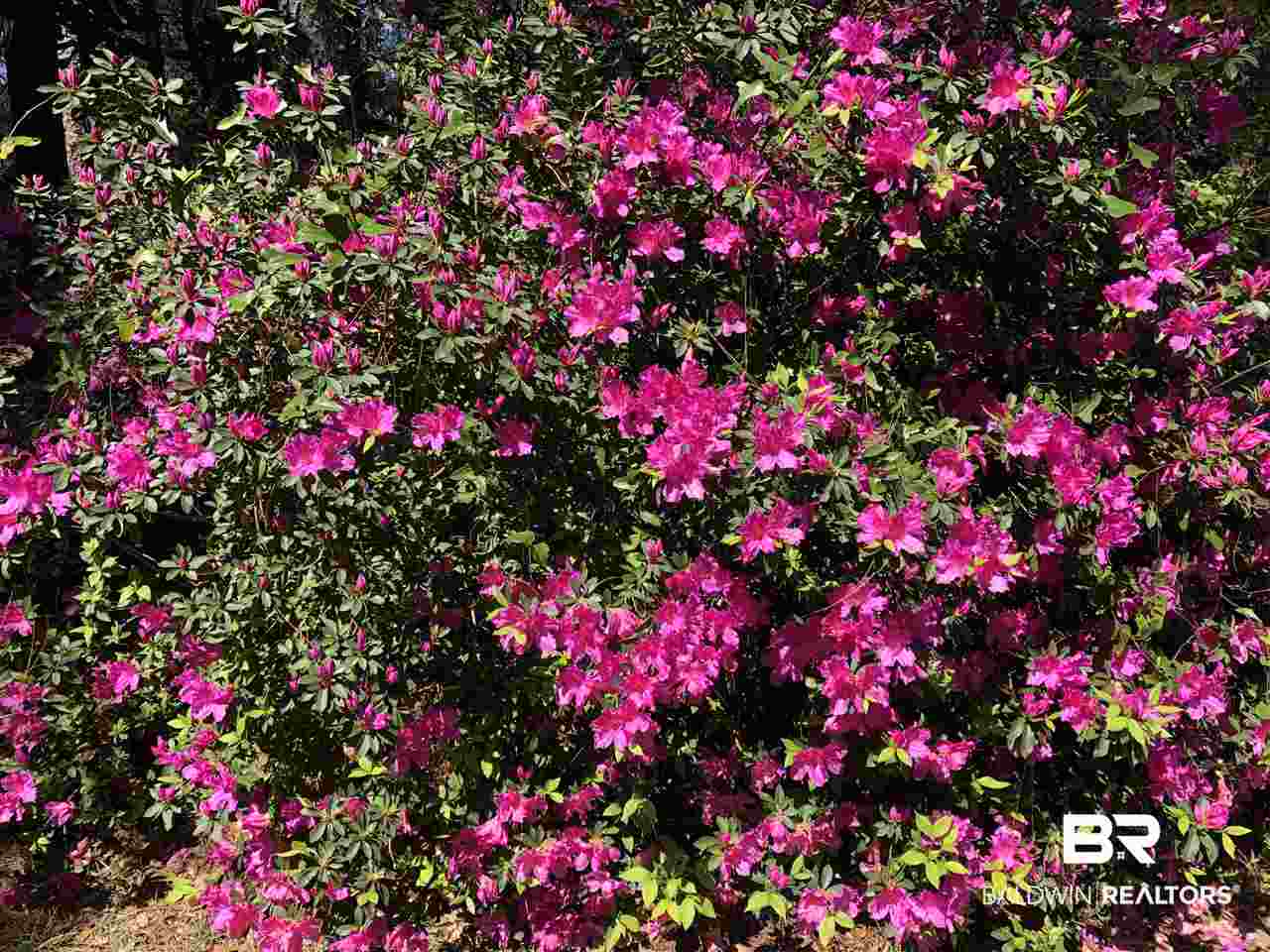 9175 County Road 99 Lillian, AL 36549 - Photo 37 of 50