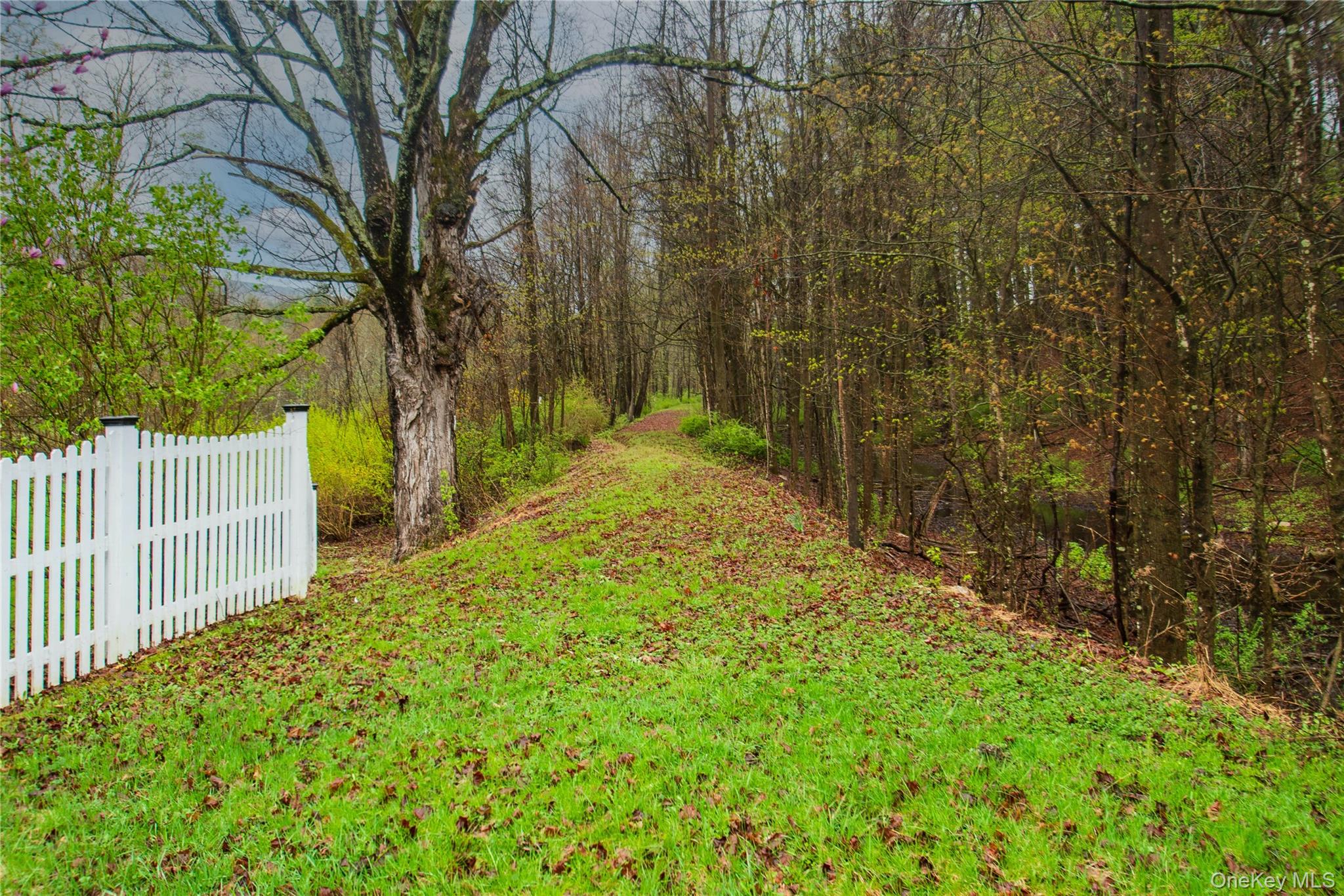 62 Thornton Road Wurtsboro, NY 12790 - Photo 26 of 30 a view of a yard with large trees