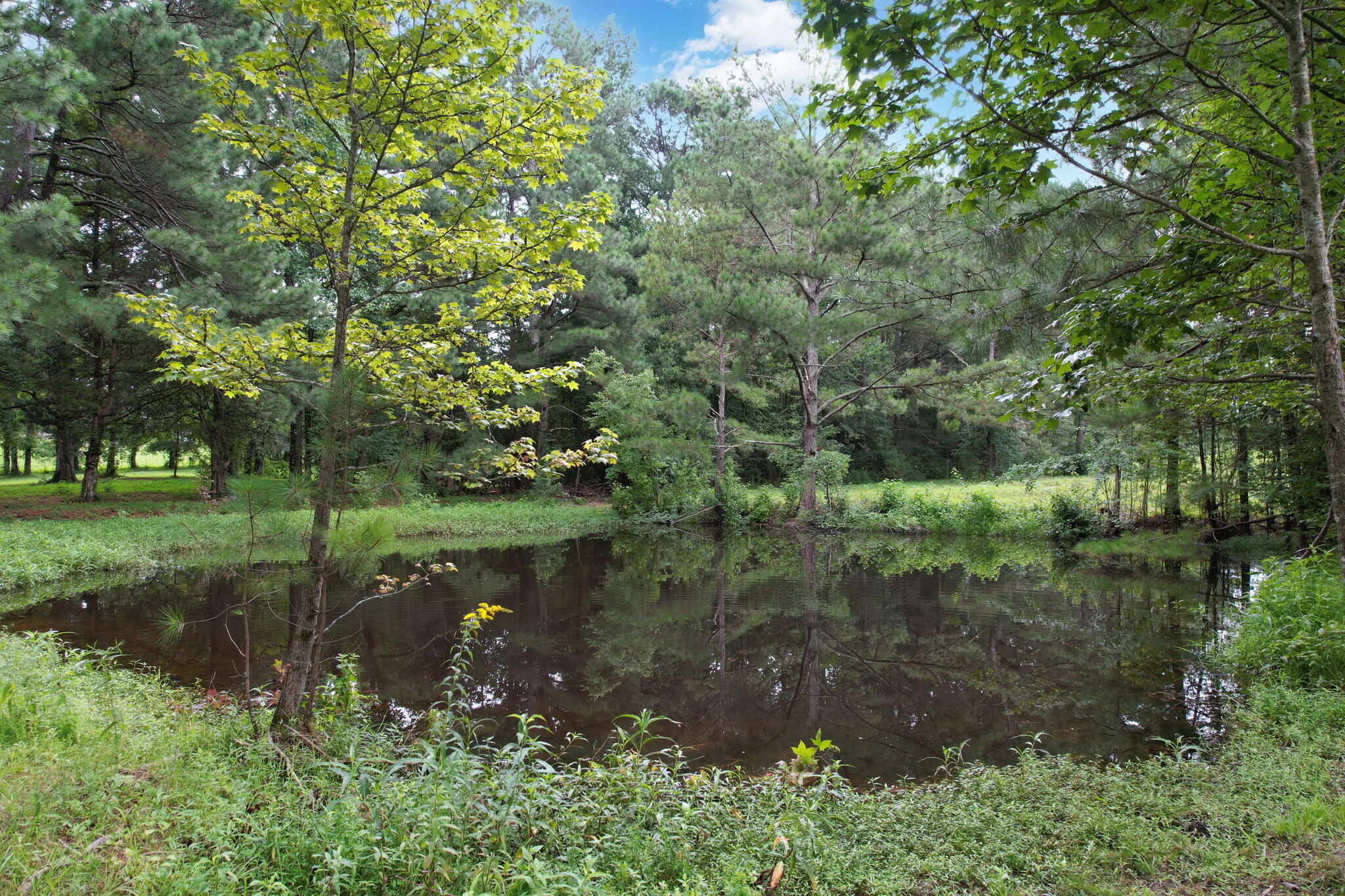 1500 Durkee Road Cleveland, TN 37323 - Photo 8 of 26 10-web-or-mls-DJI_0109