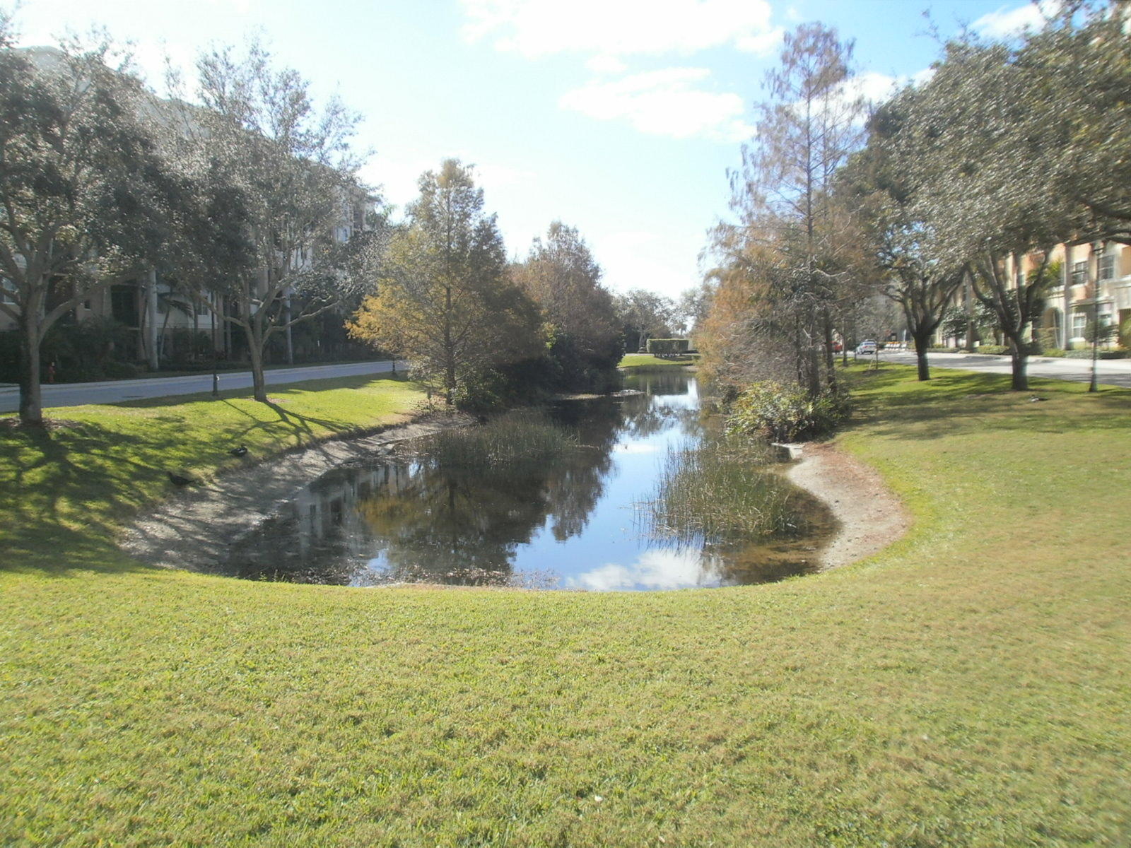 1605 Renaissance Commons Boulevard, Unit 437 Boynton Beach, FL 33426 - Photo 4 of 21 P2101457