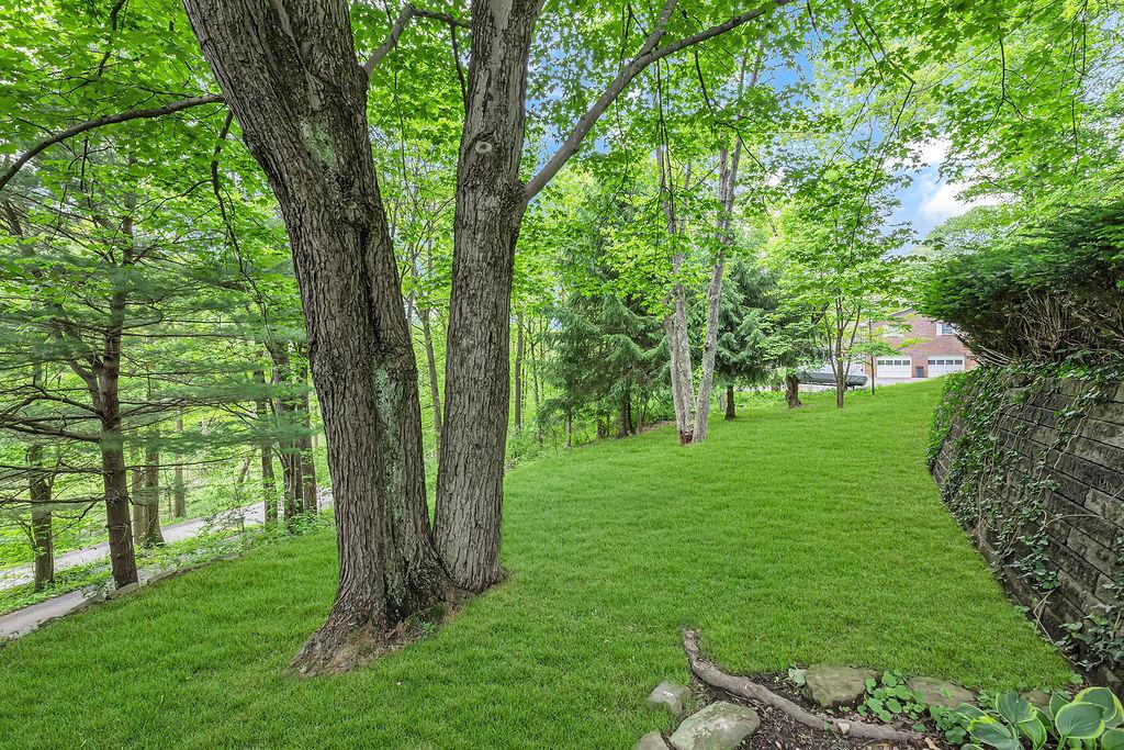 171 Dehaven Road Beaver Falls, PA 15010 - Photo 32 of 35 a view of a trees with a yard