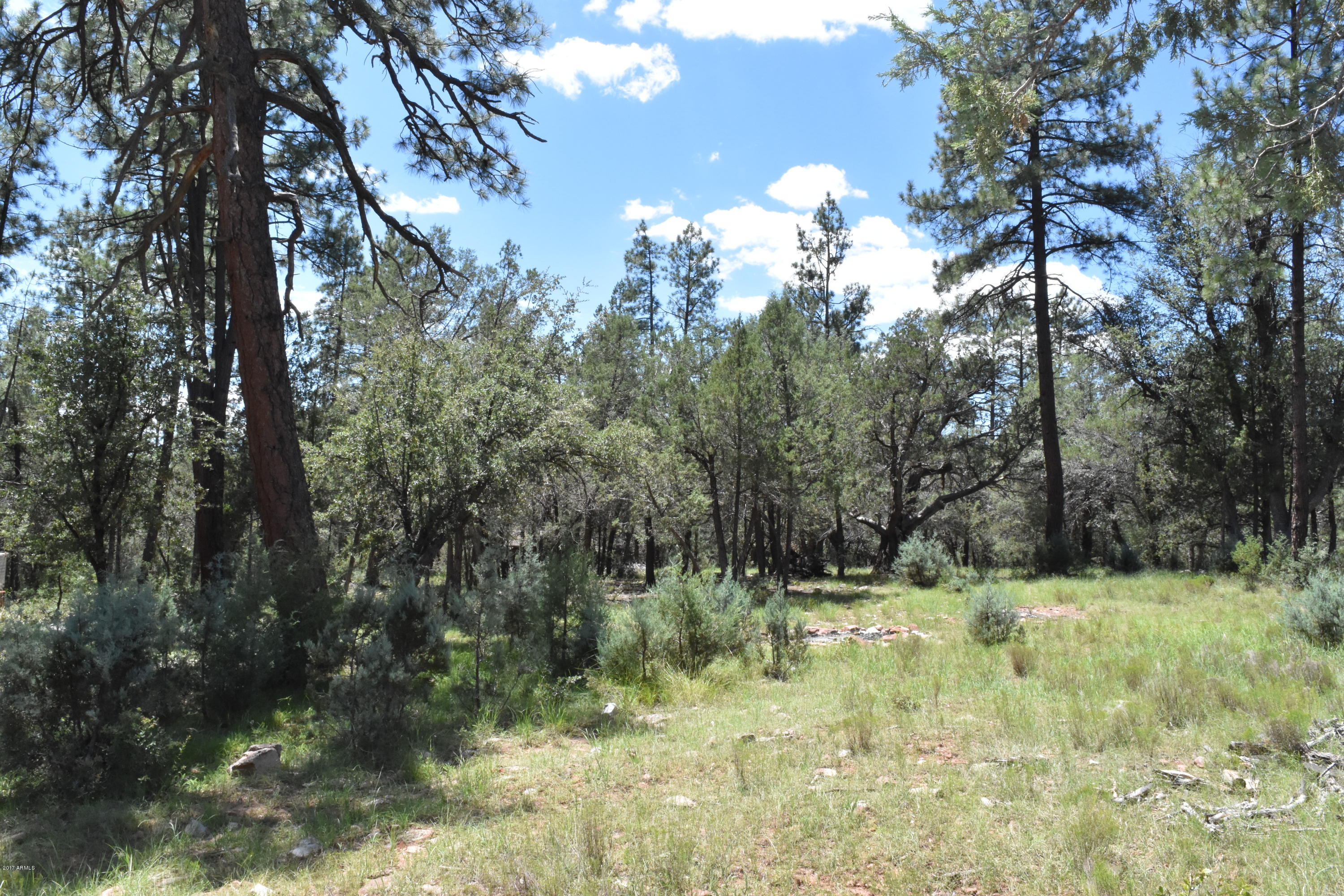 282 West Roundup Road, Unit 30 Payson, AZ 85541 - Photo 8 of 11 DSC_0850