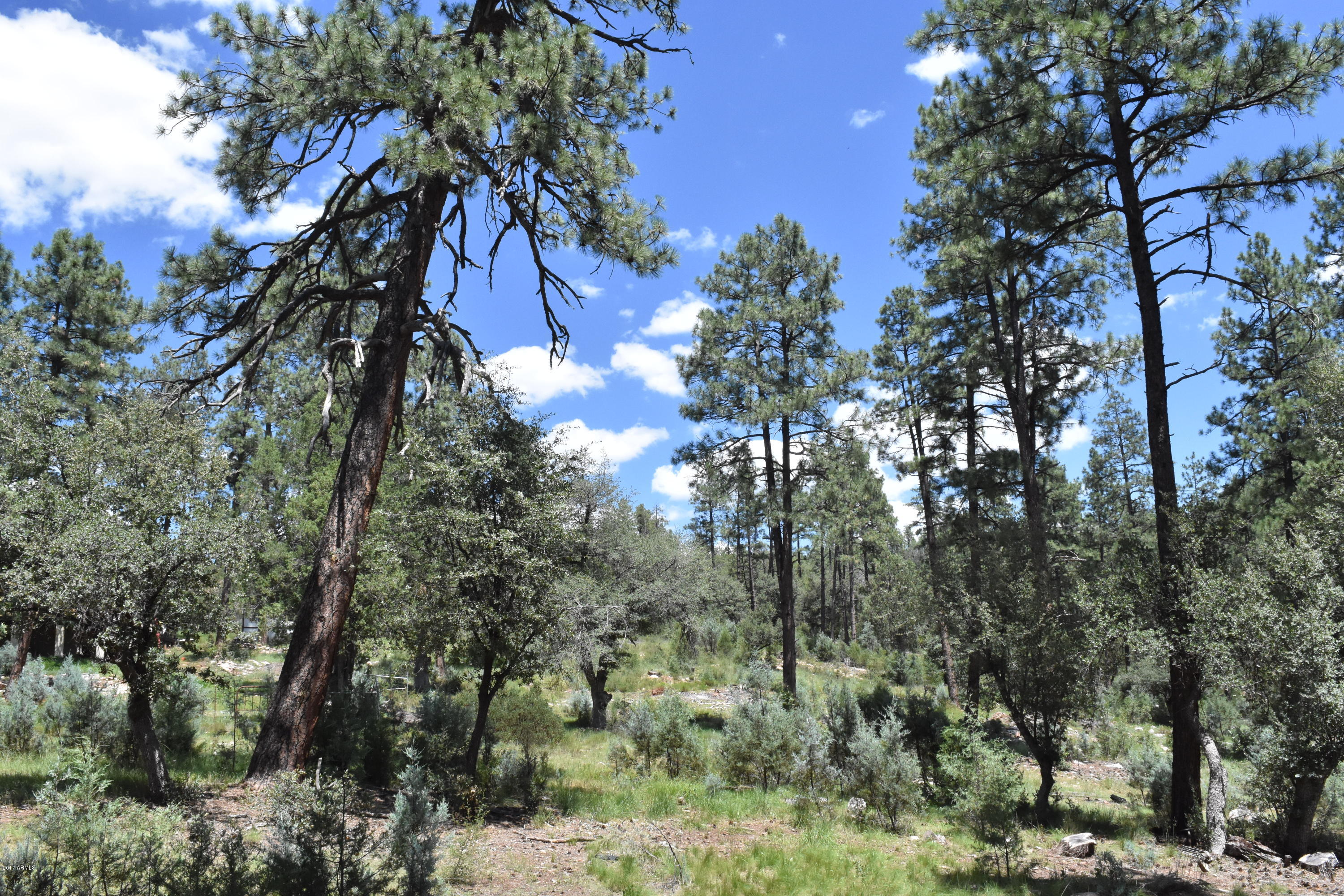 282 West Roundup Road, Unit 30 Payson, AZ 85541 - Photo 10 of 11 DSC_0852