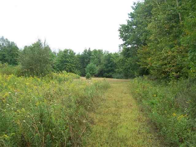 7718 Comstock Road Avoca, MI 48006 - Photo 14 of 15 31070161-14.JPG