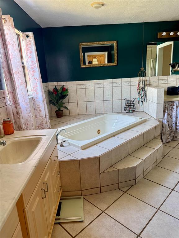 439 Corbett Road Lithia, FL 33547 - Photo 19 of 27 a bathroom with a tub sink and mirror